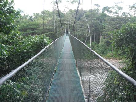 גשר חבלים