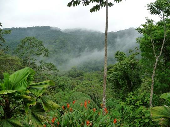 יערות עננים בקוסטה ריקה