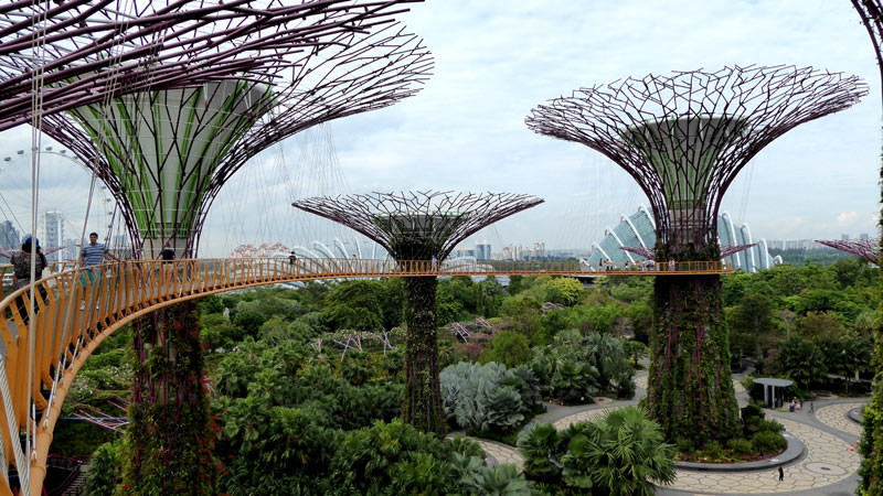 פארק עצים מלאכותיים בסינגפור