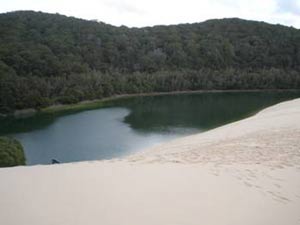 Fraser Island