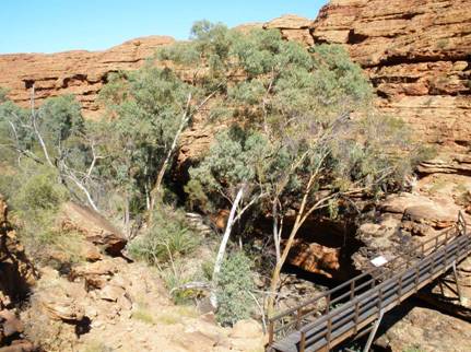 cliffs in Kings Canyon
