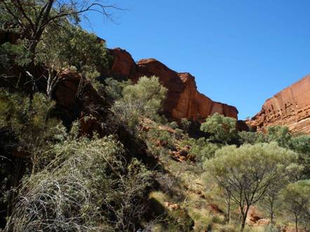 cliffs in Kings Canyon