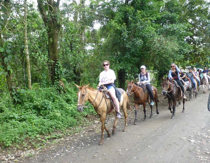 Horseback riding