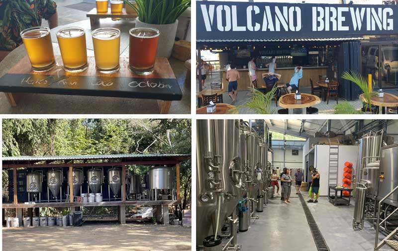 מבשלות בירה