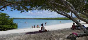 חוף ים בסנטה קרוז