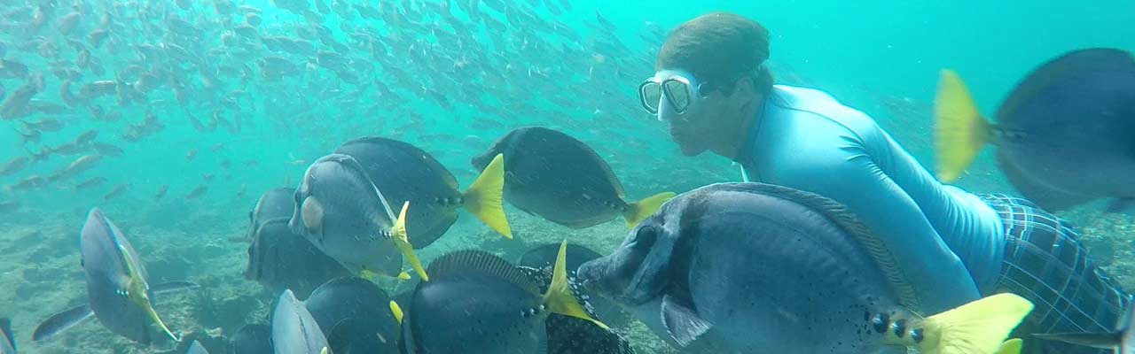 שנירקול בגלפגוס