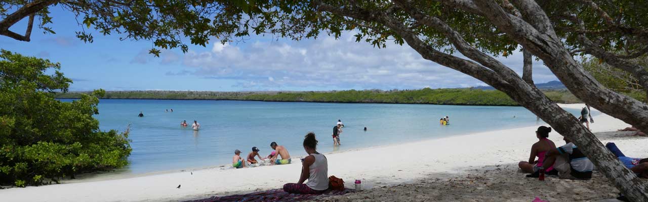 חוף טורטוגה
