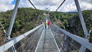 גשר תלוי ארוקה 516