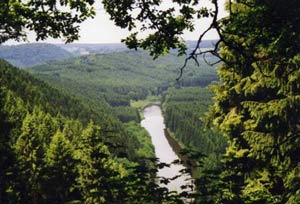 ארדנים - בלגיה