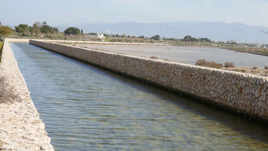 בריכות המלח