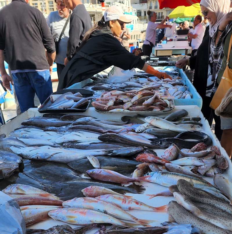 שוק הדייגים במרסיי