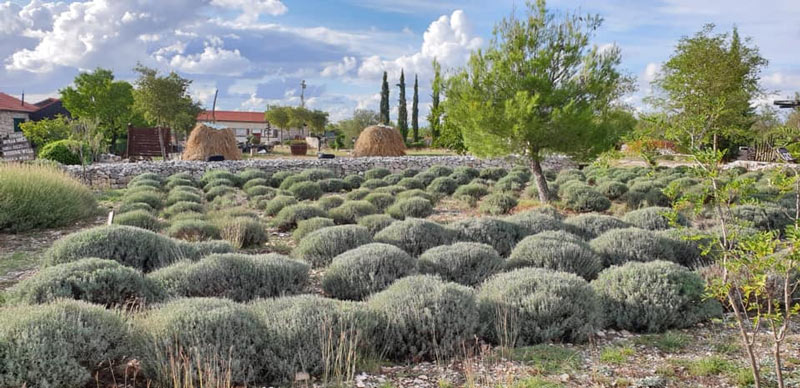 כפר דלמטי משוחזר אתנולנד