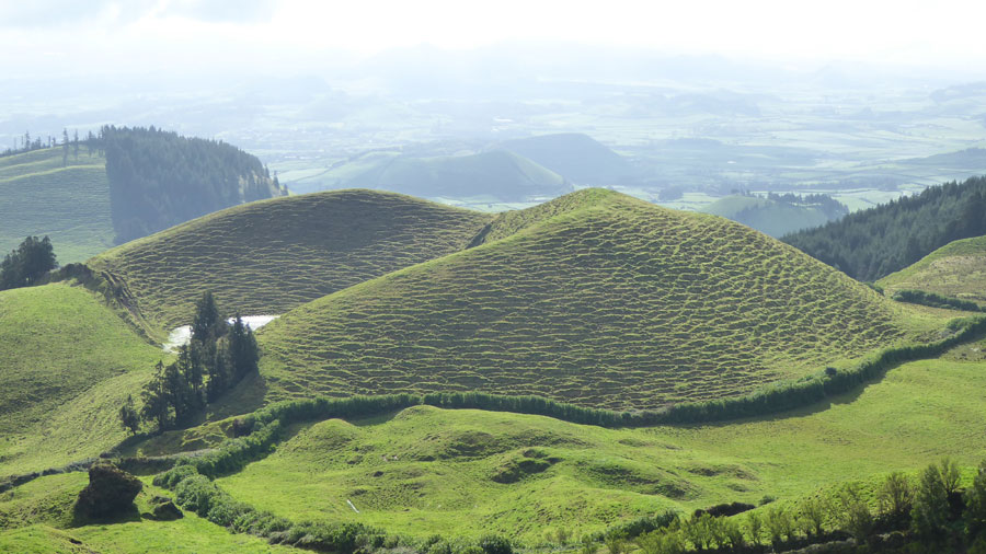 גבעות ירוקות בסאו מיגל