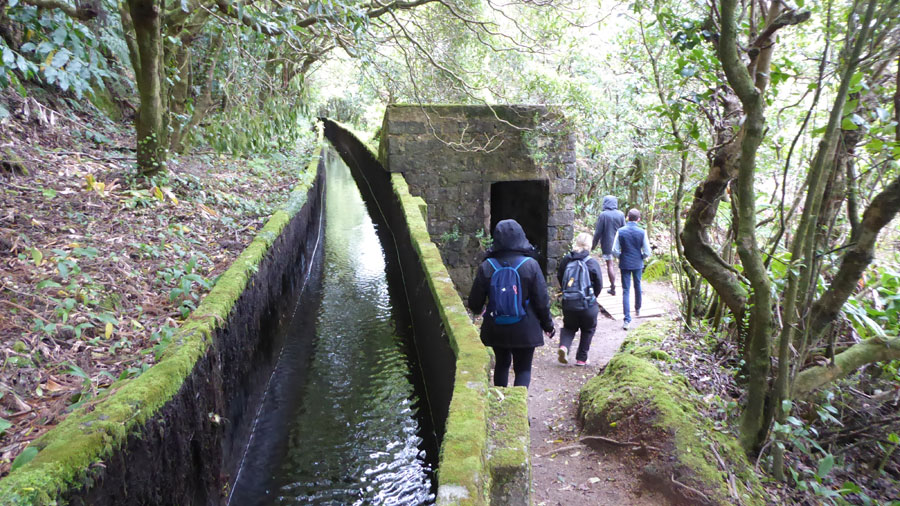 לבדה באי סאו מיגל