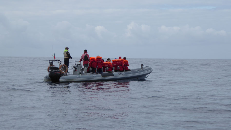 שייט בסירה לצפיה בלווייתנים
