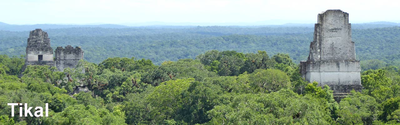 tikal ruins
