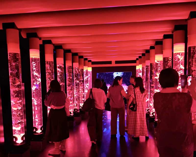 Art Aquarium גינזה אקוואריום