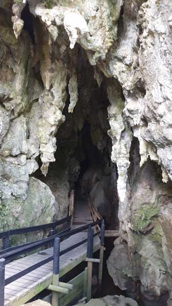 מערות תולעים זוהרות