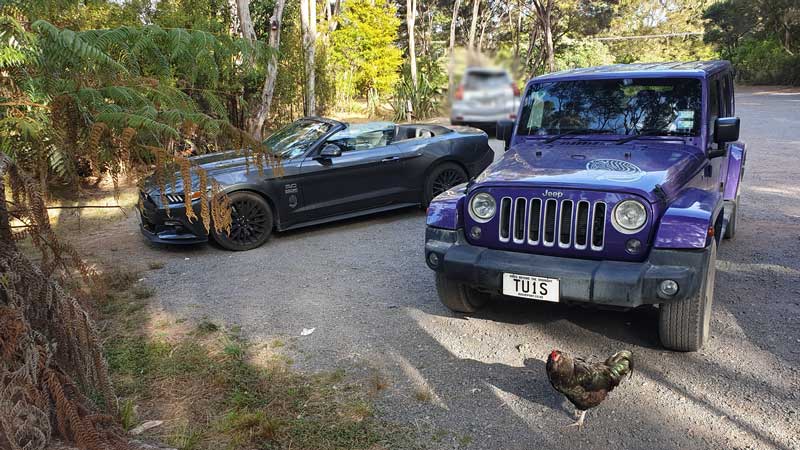 רכבי הטיולים של Rogue Pony Tours