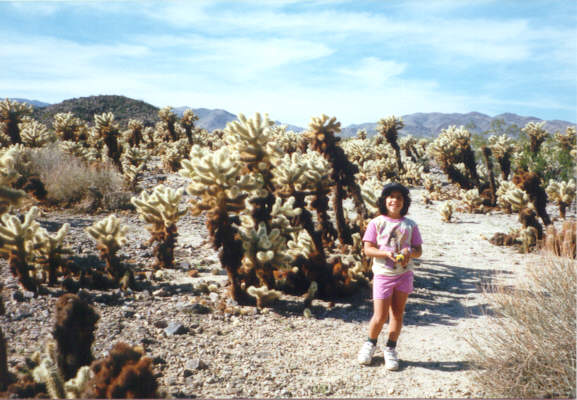 Joshua Tree1.jpg (56162 bytes)