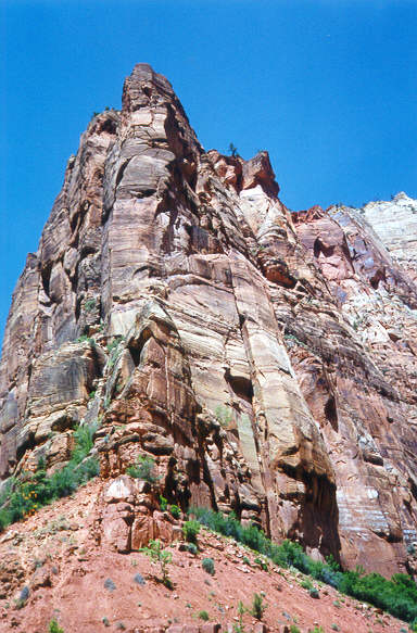 ZION פארק ציון