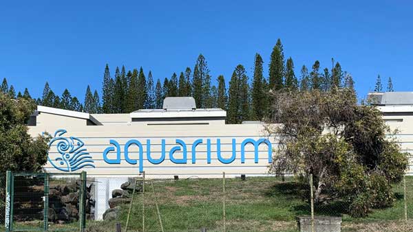 האקוואריום של ניו קלדוניה Aquarium des Lagons Nouvelle Caledonie