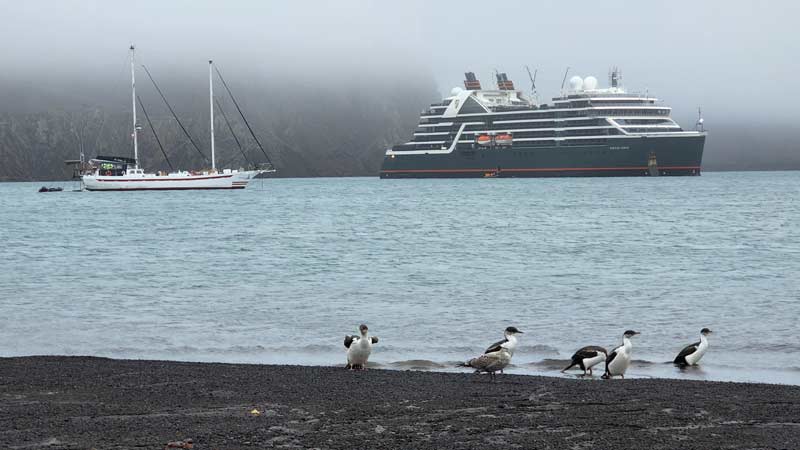 האוניה בתוך האי Deception Island