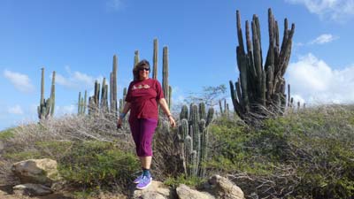 טיול טרקטורונים בארובה בנוף קקטוסים