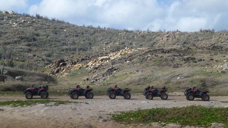 טרקטורונים באי ארובה