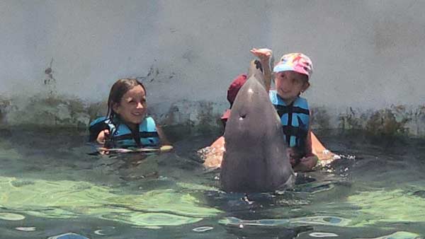 שחיה עם דולפינים בקוסטה מאיה