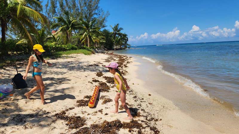 חוף אקווריום בקוזומל