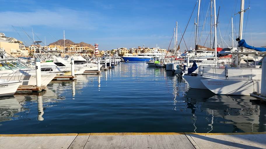 המרינה בקאבו סאן לוקאס