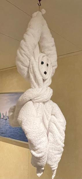 חיות מקיפולי מגבות