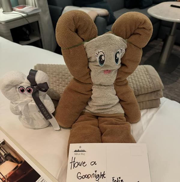 קיפולי מגבות לחיות