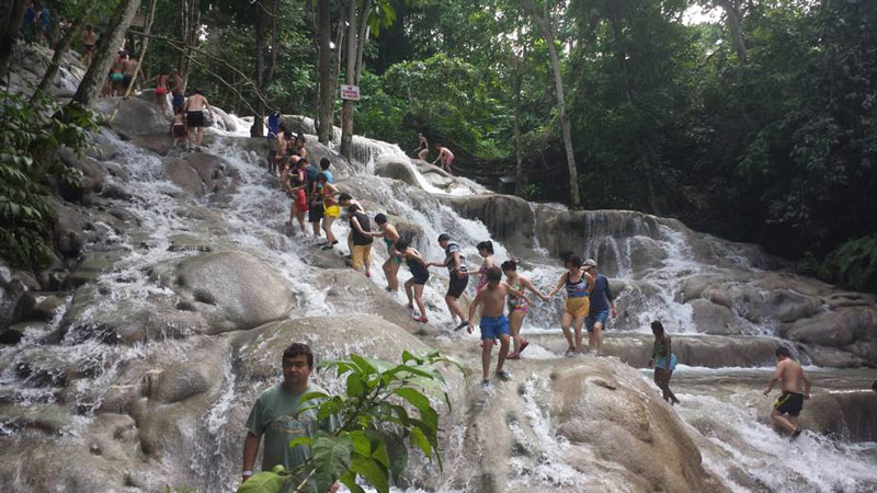 Dunn's Falls מפלי דון בג'מייקה