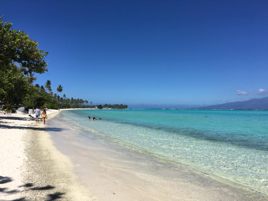 the beach of the Sofitel hotel on Moorea island