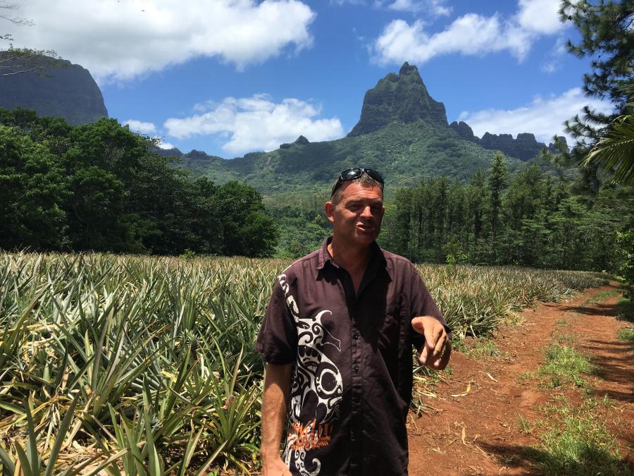 Frankie the guide in the pineapple plantation on Moorea island