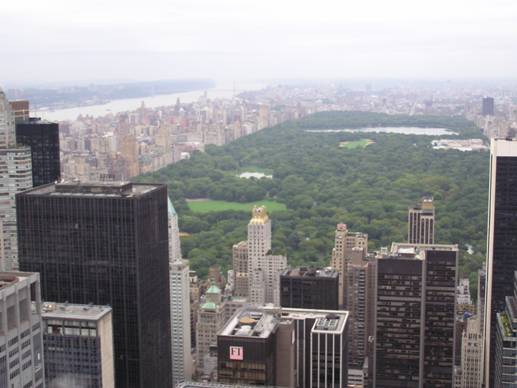 הסנטרל פארק