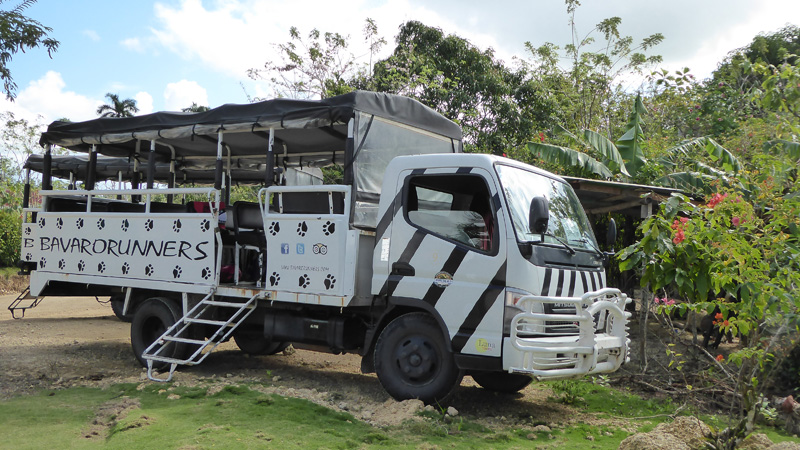 משאית ספארי