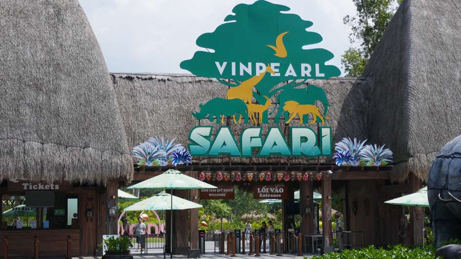 ספארי באי פוקוק