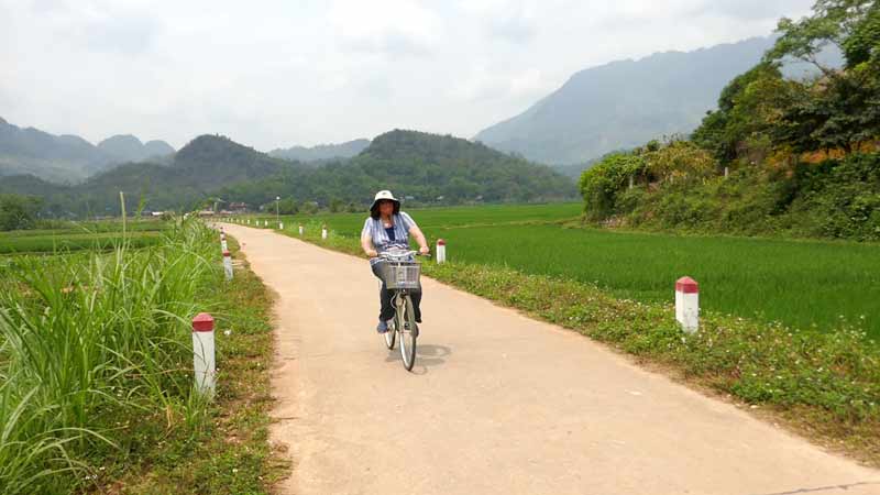 Bicycle tour in rice fields